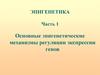 Эпигенетика. Основные эпигенетические механизмы регуляции экспрессии генов. Часть 1