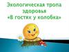 Экологическая тропа здоровья «В гостях у колобка»