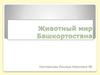 Животный мир Башкортостана