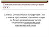 Сложные синтаксические конструкции (ССК)