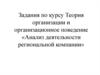 Задания по курсу Теория организации и организационное поведение «Анализ деятельности региональной компании»