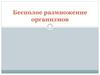 Бесполое размножение организмов