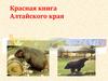 Красная книга Алтайского края