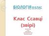 Клас “Ссавці” (звірі)