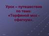 Урок – путешествие по теме: «Торфяной мох - сфагнум»