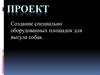 Проект. Создание специально оборудованных площадок для выгула собак