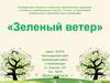 ДОУ Сказка. Зеленый ветер