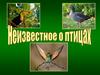 Неизвестное о птицах