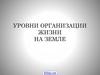 Уровни организации жизни на земле