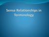 Sense relationships in terminology