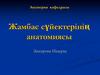 Жамбас сүйектерінің анатомиясы