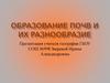 Образование почв и их разнообразие