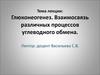 Глюконеогенез. Взаимосвязь различных процессов углеводного обмена