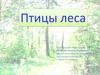 Птицы леса