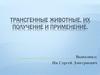 Трансгенные животные, их получение и применение