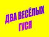 Два веселых гуся