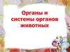 Органы и системы органов животных
