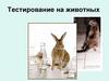 Тестирование на животных