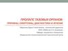 Пролапс тазовых органов: причины, симптомы, диагностика и лечение