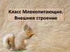 Класс Млекопитающие. Внешнее строение