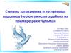 Степень загрязнения естественных водоемов Нерюнгринского района на примере реки Чульман
