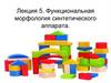 Функциональная морфология синтетического аппарата. Рибосомы