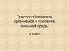 Приспособленность организмов к условиям внешней среды