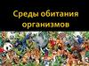 Среды обитания организмов