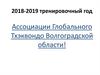 Достижения на соревнованиях тхэквондо Волгоградской области за 2018-2019 годы