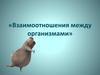 Взаимоотношения между организмами