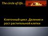Клеточный цикл. Деление и рост растительной клетки