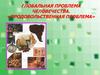 Продовольственная проблема