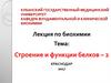 Строение и функции белков – 2