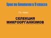 Селекция микроорганизмов