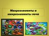 Макроэлементы и микроэлементы почв