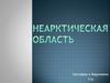 Неарктическая область