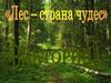 Викторина "Лес - страна чудес"