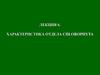 Характеристика водорослей отдела chlorophyta. (Лекция 6)