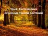 Систематика основных тканей растений
