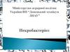 Некробактеріоз. Визначення хвороби
