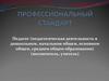 Профессиональный стандарт