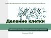 Деление клетки