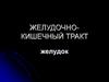 Рентген. Желудочно-кишечный тракт. Желудок