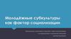 Молодёжные субкультуры как фактор социализации
