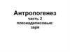 Антропогенез. Плезиадаписовые: заря. (часть 2)