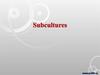 Subcultures
