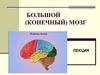 Большой (конечный) мозг