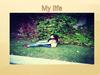 My life
