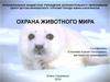 Охрана животного мира
