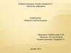 Баяндама «Невада-Семей Қозғалысы»